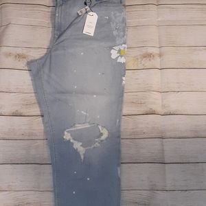 NWT Express Jeans